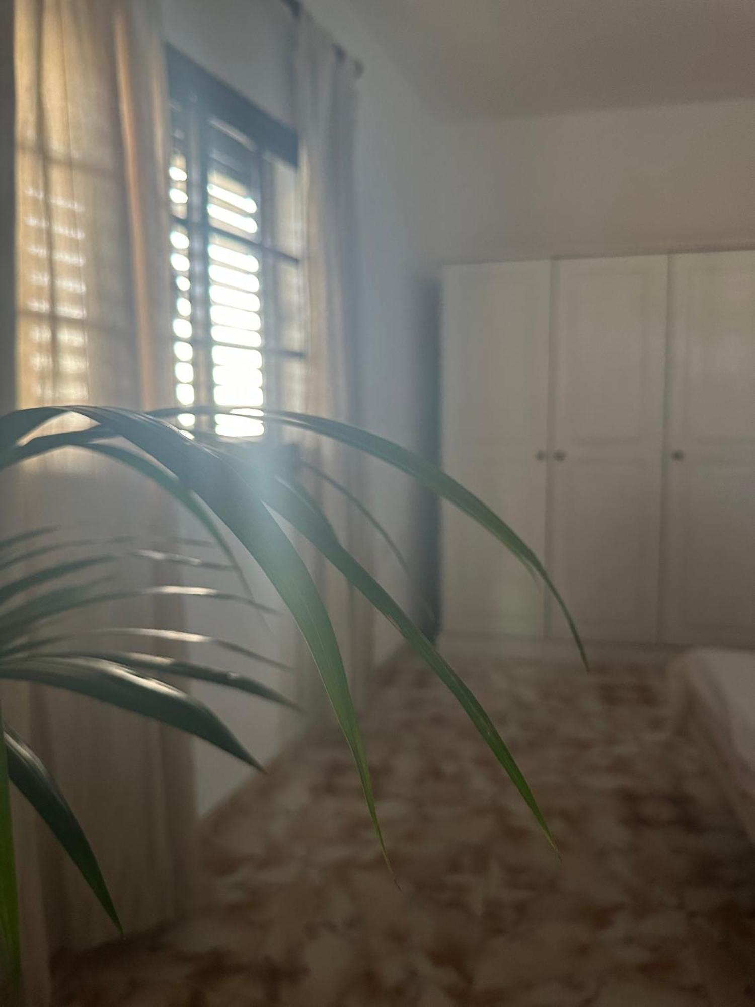 Apartamento Fortaleza Vallehermoso Eksteriør bilde
