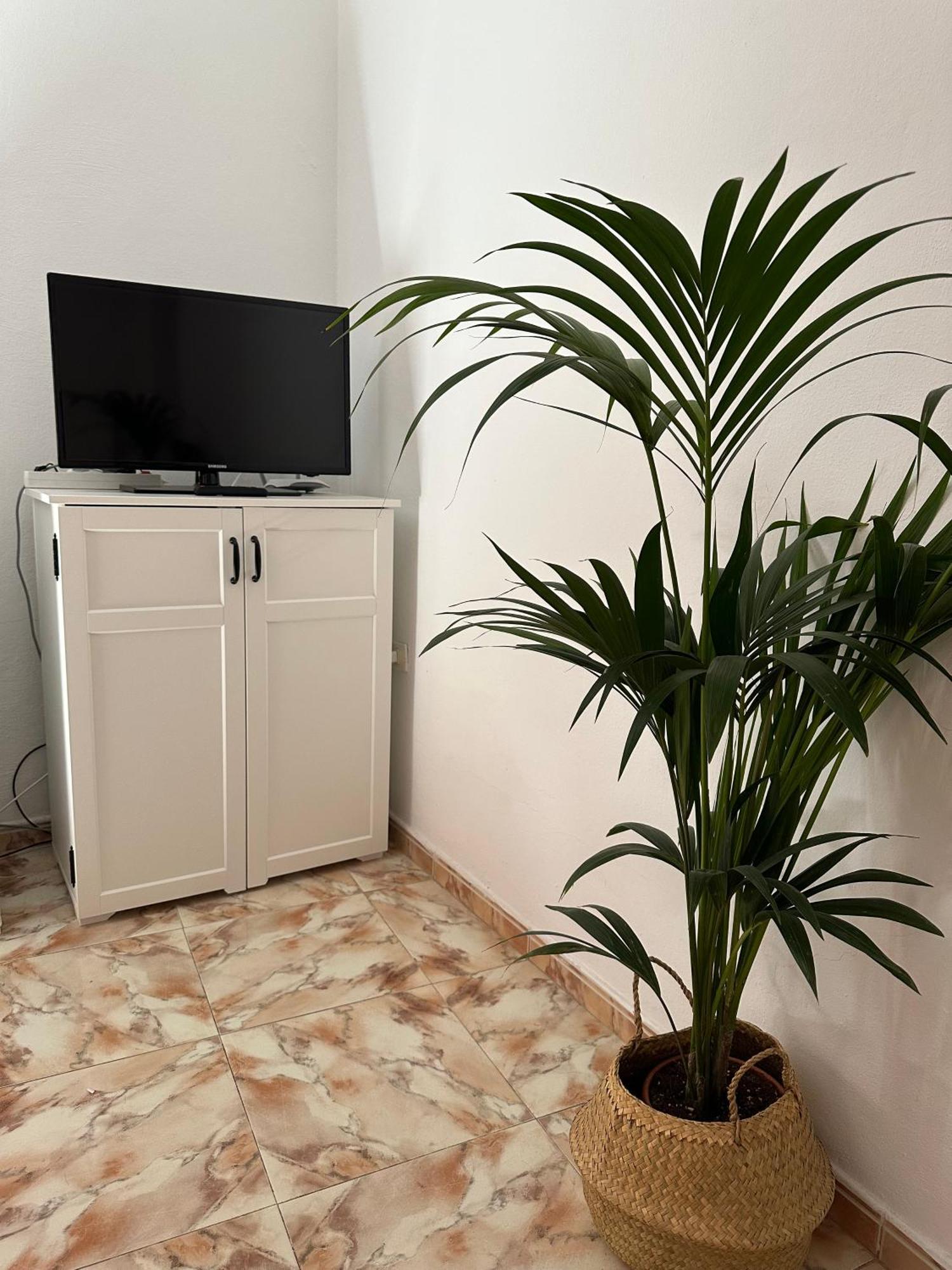 Apartamento Fortaleza Vallehermoso Eksteriør bilde